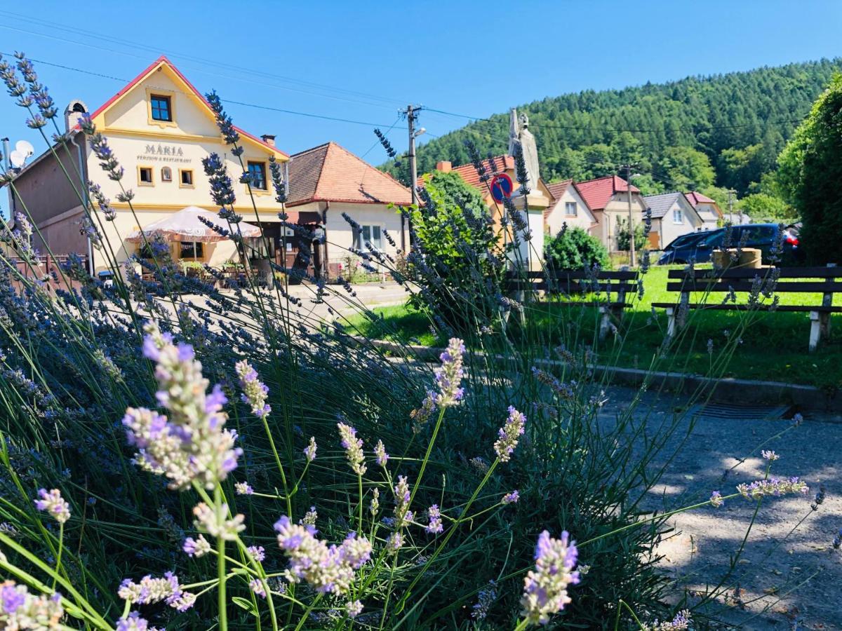 Maria Penzion & Restaurant Trencin Bagian luar foto