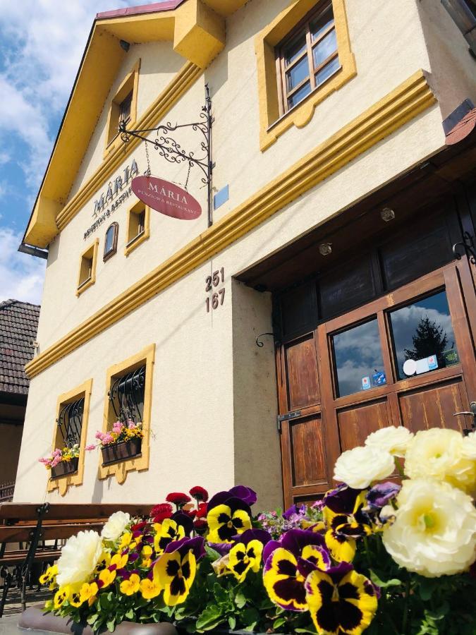 Maria Penzion & Restaurant Trencin Bagian luar foto